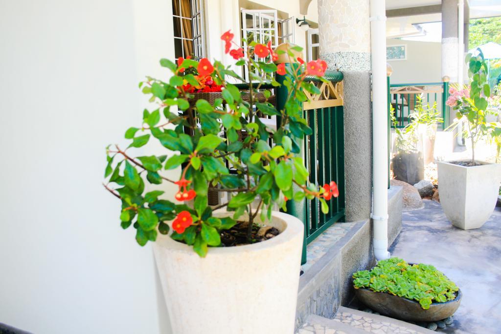 Maison Charme De L'Ile ลาดิก ห้อง รูปภาพ